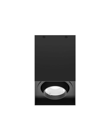 COVIA Surface Mounted Light