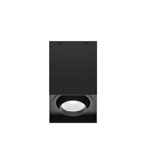 COVIA Surface Mounted Light