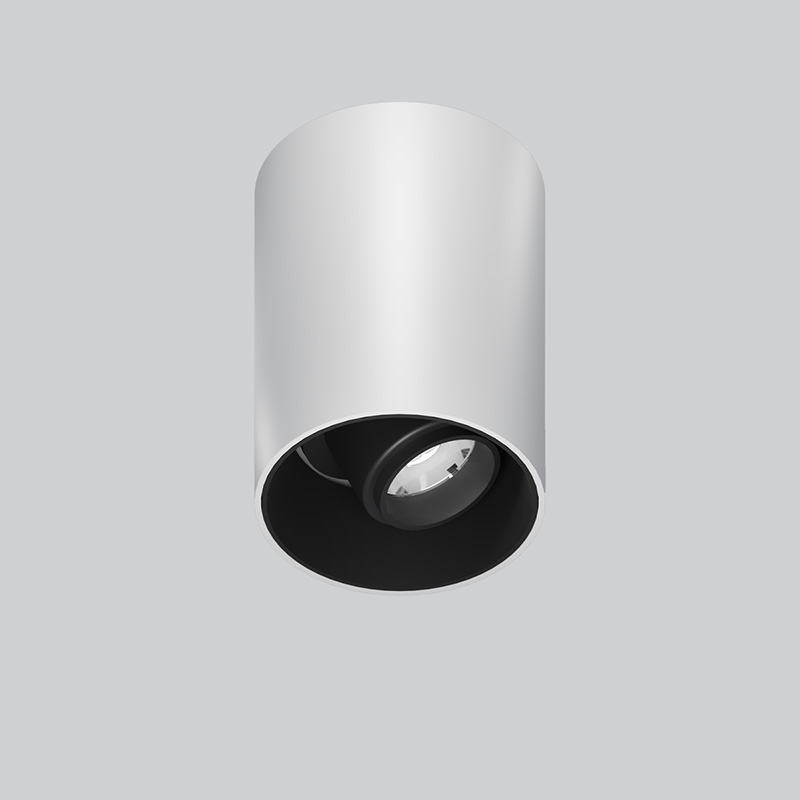 AXORA | PIVOT Series Adjustable Surface Mounted Light