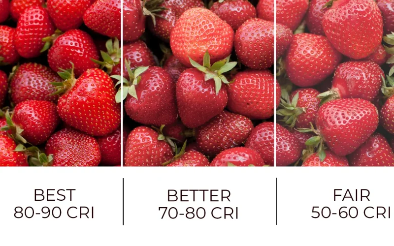 CRI Explained: CRI80 vs CRI90 vs CRI95 for Commercial Lighting